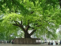 宜宾职业技术学院五年制大专网站网址