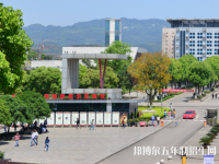 重庆水利电力职业技术学院五年制大专2020年学费、收费多少