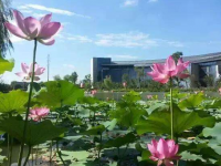 浙江旅游职业学院五年制大专2020年排名